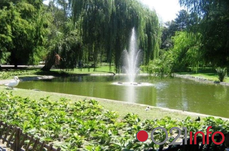 Neće se naplaćivati ulaz u novosadske parkove 