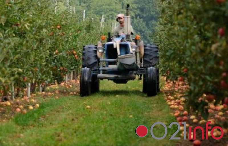 Raspisan konkurs za nabavku novog traktora koji je proizveden u Srbiji  